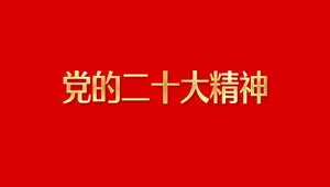 党的二十大精神