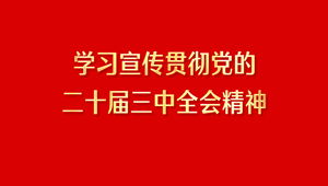 学习宣传贯彻党的二十届三中全会精神专栏